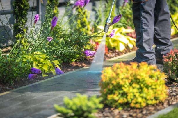 Best Sidewalk and Walkway Cleaning  in Harper, KS